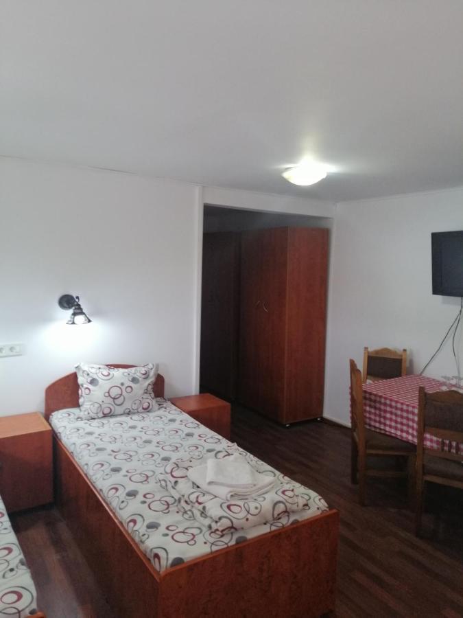 Vila Elly Piatra Neamt Exterior photo